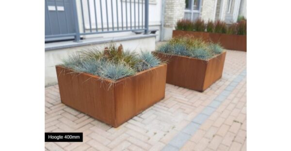 Cortenstaal plantenbak Miami 800x800 - Afbeelding 5