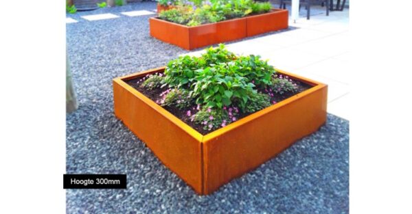 Cortenstaal plantenbak Miami 1000x1000 - Afbeelding 3