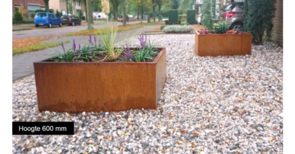 Cortenstaal plantenbak Miami 1200x1200 - Afbeelding 4